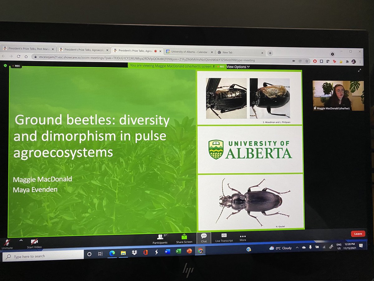 An excellent presentation by ⁦<a href="/BeetleNeedle/">Quiz</a>⁩ on diversity, abundance and dispersal of #groundbeetles in #pulse in AB. #2021ESCJAM ⁦<a href="/ualbertaScience/">Faculty of Science, University of Alberta</a>⁩ ⁦<a href="/AlbertaPulse/">AB Pulse Growers</a>⁩