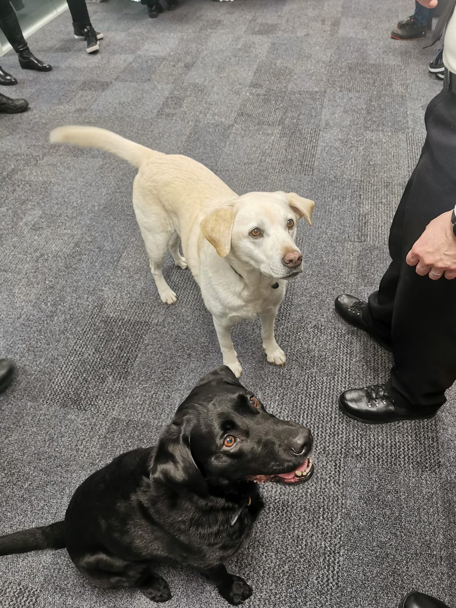 Armed Forces Veterans Association - Met Branch (@afva_metbranch) on Twitter photo Today we hosted a #WelfareDay at <a href="/MPSHackney/">Hackney Police</a> to speak with #PoliceOfficers, #PoliceStaff and fellow #Veterans about the support pathways available within <a href="/metpoliceuk/">Metropolitan Police</a>. We made sure we returned the favour to support #Daisy & #Hugo also. #VeteranCommunity #ThinBlueLine ๐พ๐พ๐๐ปโโ๏ธ๐ฎ๐ปโโ๏ธ Today we hosted a #WelfareDay at <a href="/MPSHackney/">Hackney Police</a> to speak with #PoliceOfficers, #PoliceStaff and fellow #Veterans about the support pathways available within <a href="/metpoliceuk/">Metropolitan Police</a>. We made sure we returned the favour to support #Daisy & #Hugo also. #VeteranCommunity #ThinBlueLine ๐พ๐พ๐๐ปโโ๏ธ๐ฎ๐ปโโ๏ธ