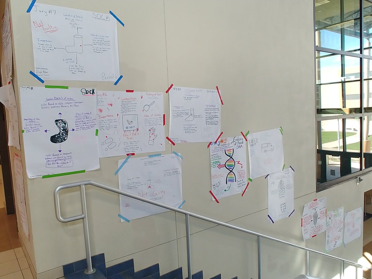 BarlowScience's tweet photo. Day 2 of OJ Simpson Evidence Mock Trial. Each group presented their evidence & decided on a verdict of guilty or not guilty based just on their evidence. Then we hung them up in the main staircase. Great debates! @WeAreTRHS #ForensicMockTrial #NEISD #ExpertWitness #MakeACase https://t.co/LBUZV7Y1WI