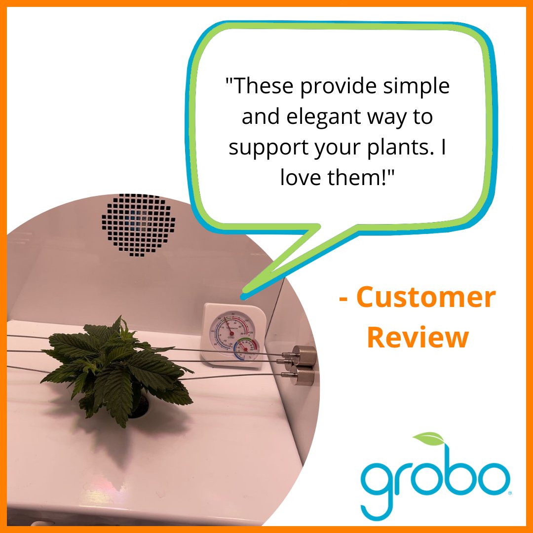 Did you know we sell support racks for inside your Grobo? 

With the Grobo support racks, you can support your plant as it grows, preform in low stress training, and even dry your buds on the racks! Win-win 🔥 

Check them out in our shop today! grobo.io/products/suppo…

#grobo