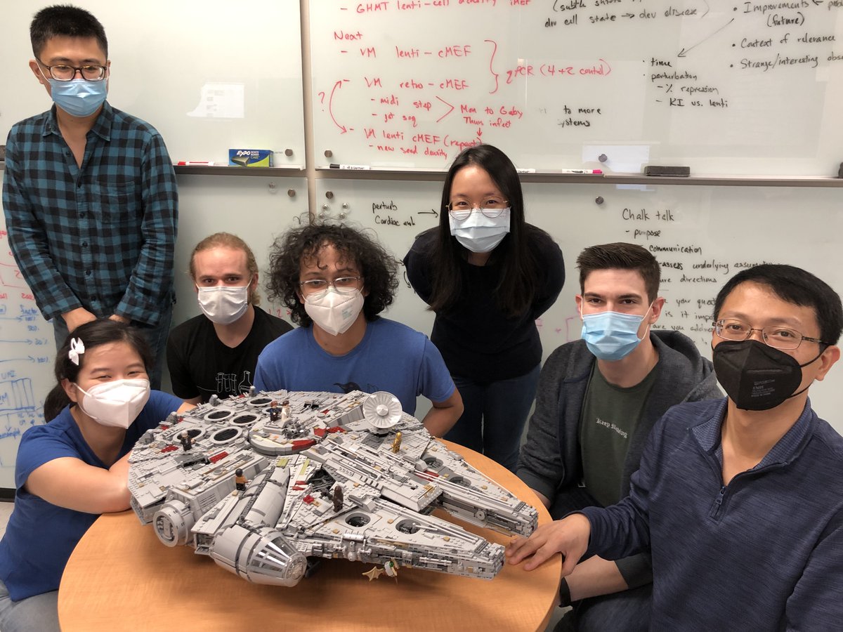 Gary Hon tweet media