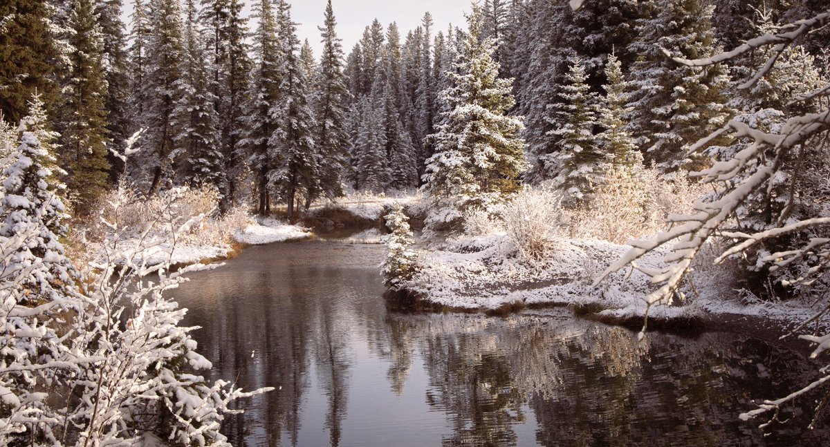 WallaBare's tweet photo. first snow https://t.co/g74X9E1uPl