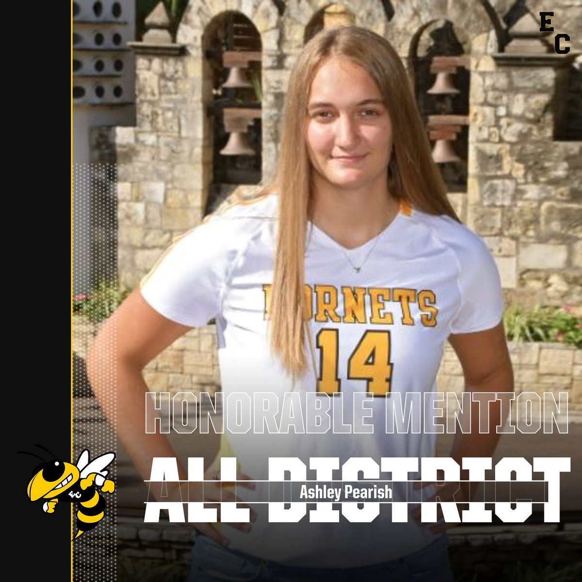 _ECVolleyball's tweet photo. 🏆27-6A Honorable Mention🏆
Congratulations to Ashley Pearish for district recognition. She finished the season with 206 kills, 45 blocks, and 58 digs.
#ECProud #ECVBFamily https://t.co/R5AVDPMnNZ