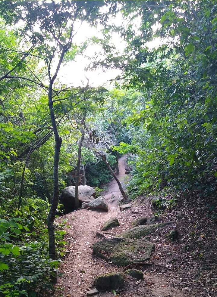 pdrosalgueiro's tweet photo. A natureza nunca irá trair o coração daqueles que a amam. (William Wordsworth) https://t.co/wWxIglIuU2