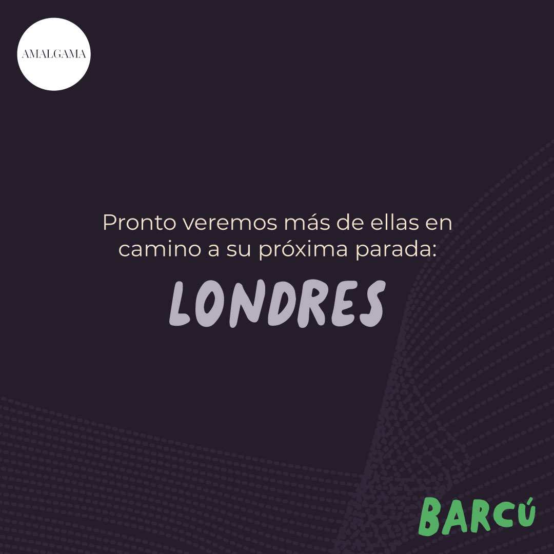 Barcú tweet media