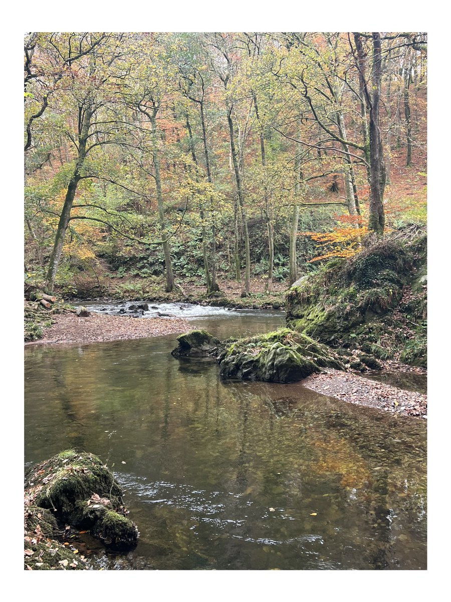StumpStone's tweet image. Love being back home in Devon! #Devon #Watersmeet #landscapephotography