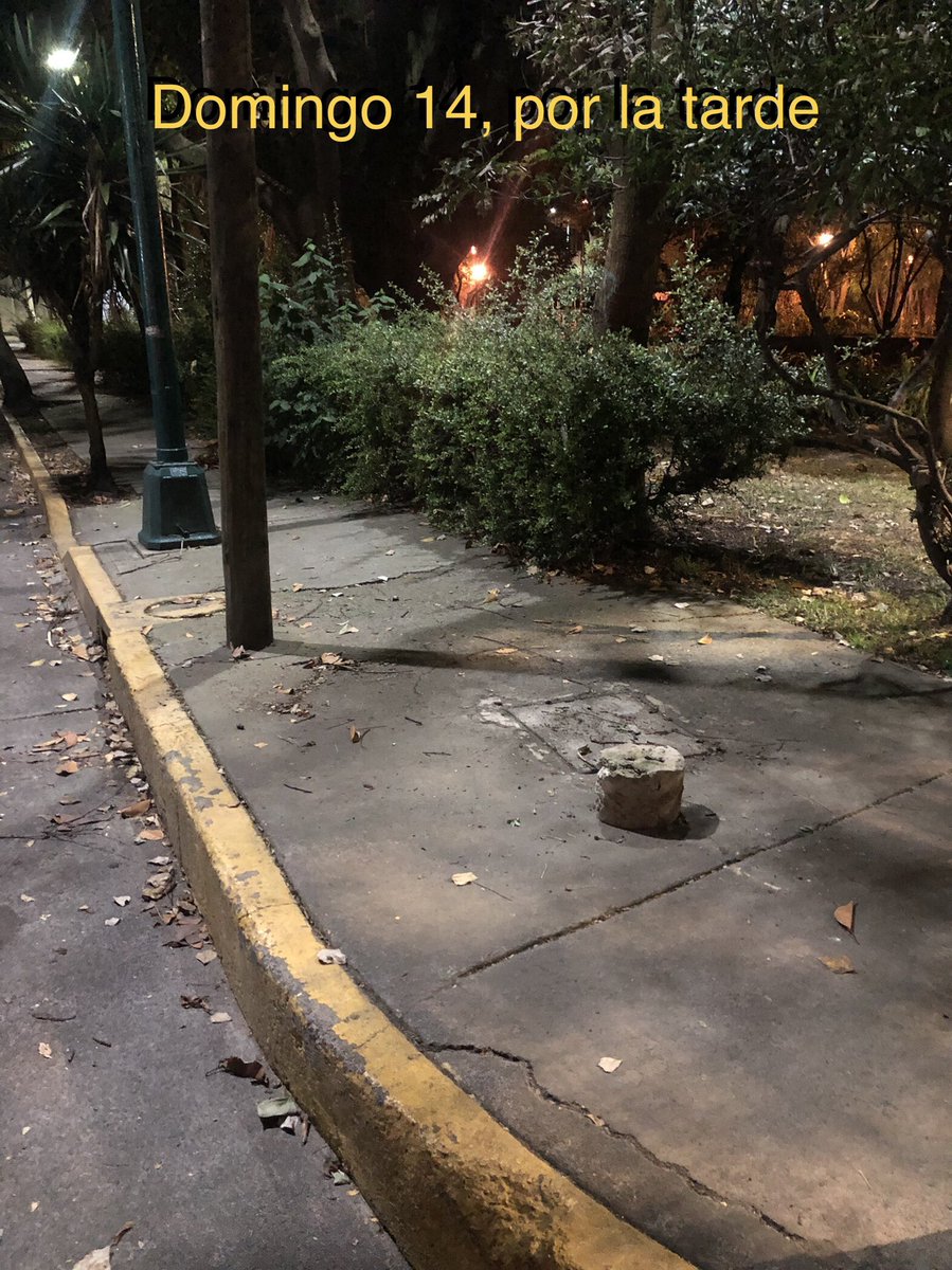 04360mx's tweet photo. MISIÓN CUMPLIDA.
Gobierno central convoca a tequio de limpieza.
Vecinos y brigada de apoyo la ejecutamos.
@Alcaldia_Coy apoya llevándose la basura recolectada.

GRACIAS A TODOS, AHORA TOCA CONSÉRVALO LIMPIO. https://t.co/rNlTbTS5Zj