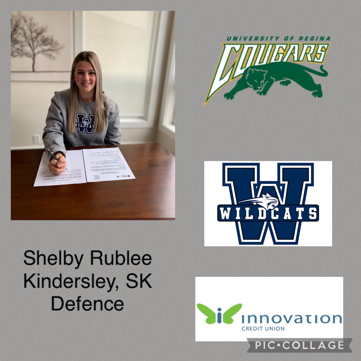 SC Innovation Federal Credit Union Wildcats tweet media