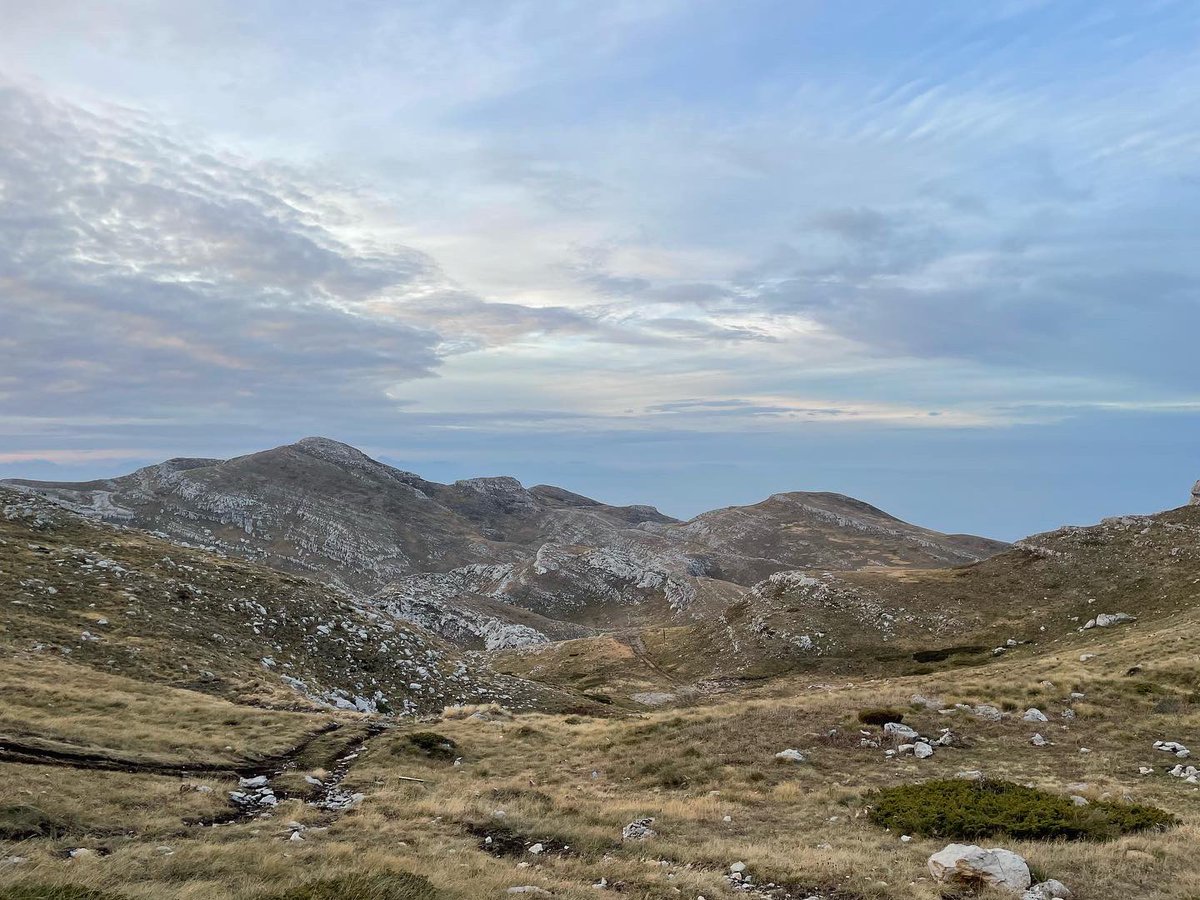 PrizrenPost's tweet photo. Pamje panoramike nga Maja e malit Pashtrik, ⛰📍1986m

📸: @jetmirmaloku 
#pashtriku #pashtrikumountain #prizren #prizreni #has #kosove #kosova #kosovo #mount #panorama #nature #visit #visitprizren #visitkosovo https://t.co/GYg3Uinavl