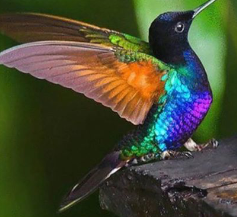 QueenKedar's tweet photo. So Pretty that I had to Post.
Thanks for the Follow @QueenKedar https://t.co/J8KpUTzkXE