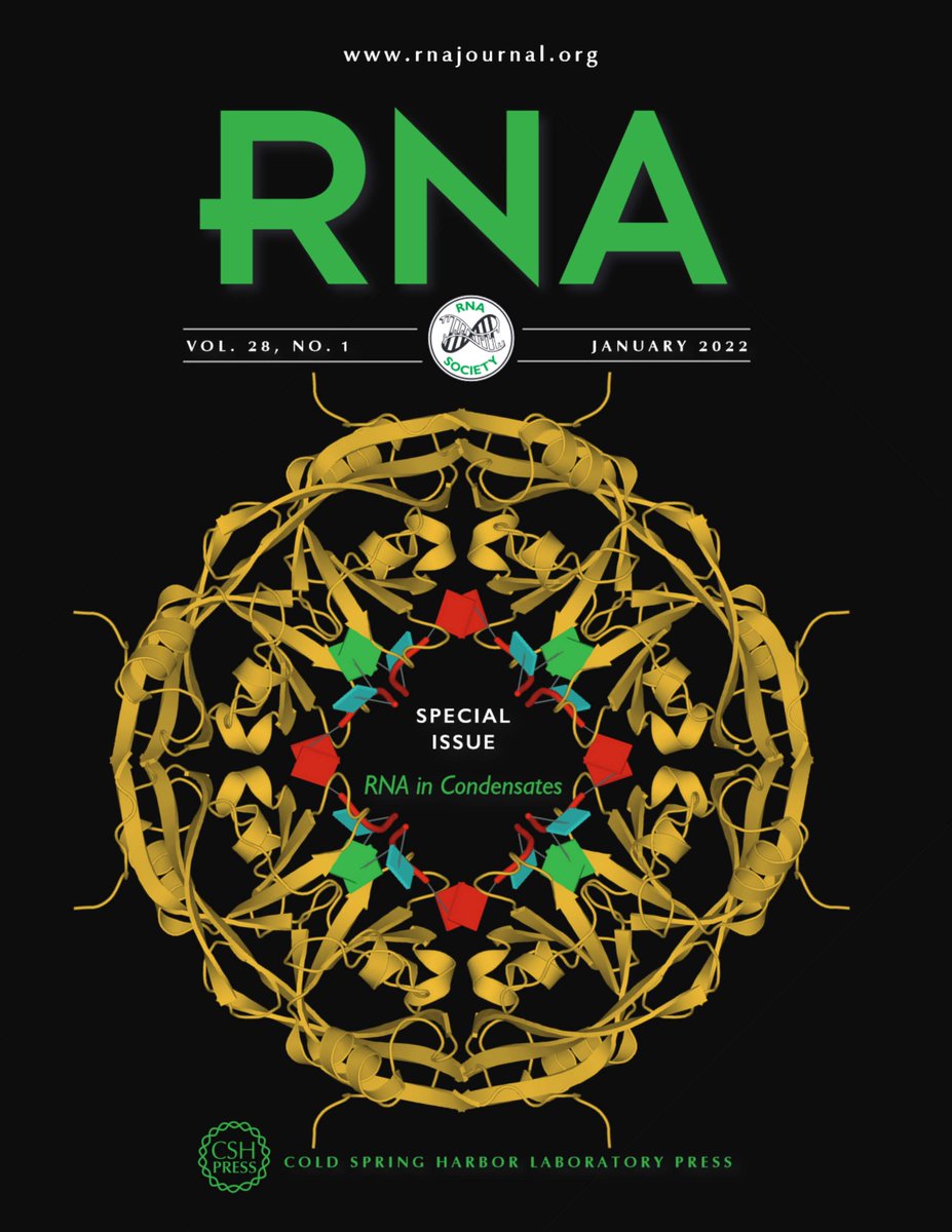 A highly exciting issue on RNA condensates, edited by Nobel Laureate, Tom Cech, will be appearing on the January issue of the RNA journal @RNAjournal