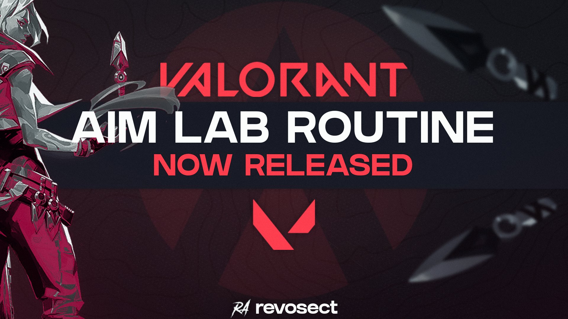 VALORANT Aim Playlist & Why