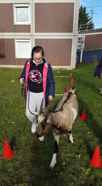 lfpchambly's tweet photo. Nous étions de retour à l'IME de Sarcelles. Le sourire des enfants a fait rayonner le soleil toute la journée. Au programme : nourrissage, câlinage, découverte de la ruche et des abeilles, parcours de motricité avec un chien, une chèvre, une brebis ou un agneau 😁 https://t.co/seyx7lA4Sl