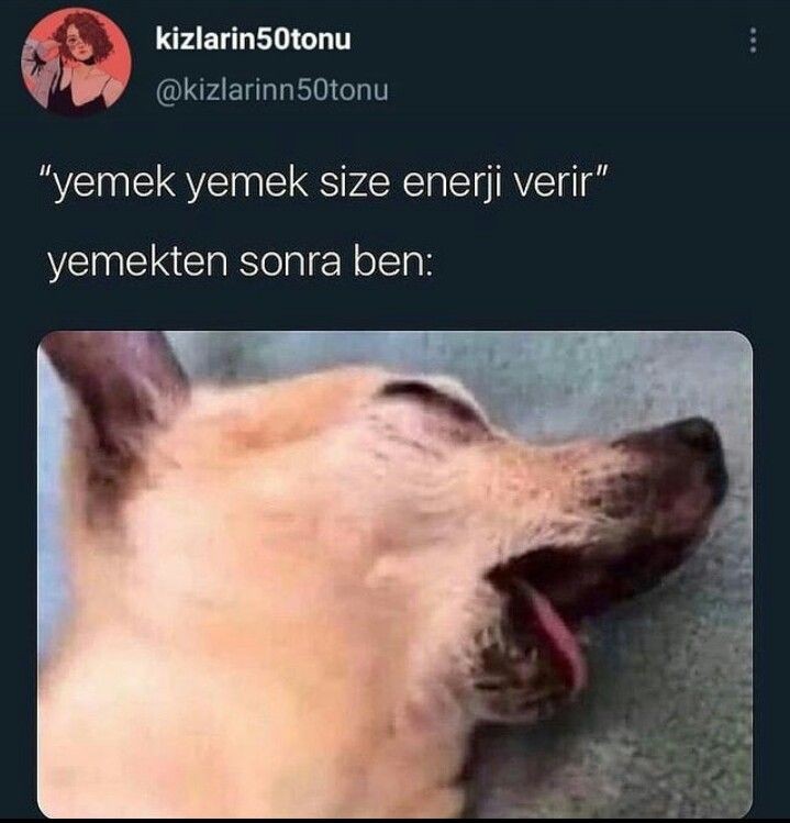 Рыба мем. Люблю поесть картинки. Кот и колбаса прикол. Кушать хочется. Котенок наелся.