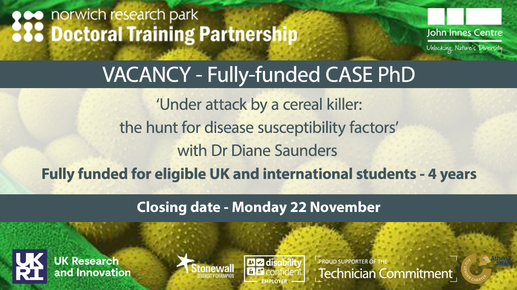 JohnInnesCentre's tweet photo. FULLY FUNDED PhD - ‘Under attack by a cereal killer: the hunt for disease susceptibility factors’ with @Saunders_Lab 

💷 - Fully funded for 4 years
📅 - Monday 22 November

https://t.co/ypnt969BOY https://t.co/WnilV77OkE
