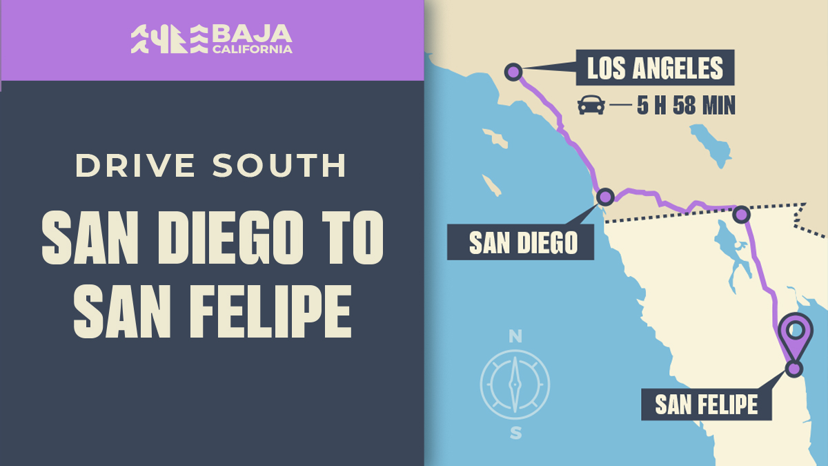 Baja California tweet media