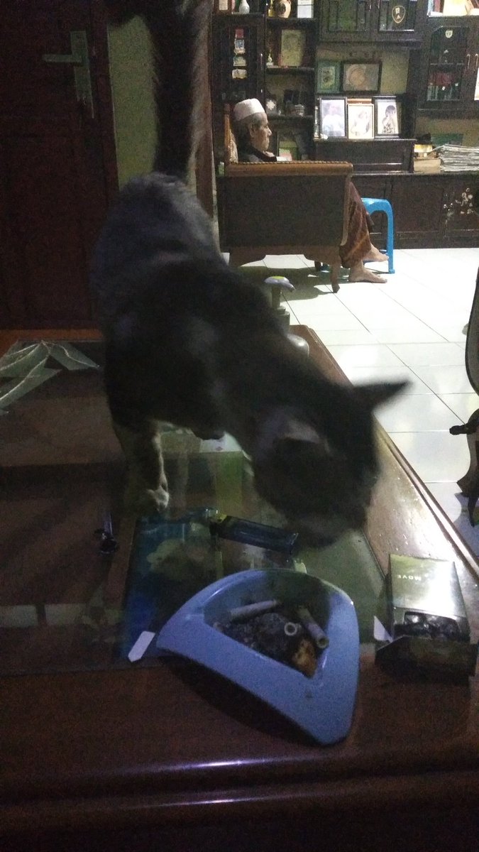 Ucing baong Made in bedegong