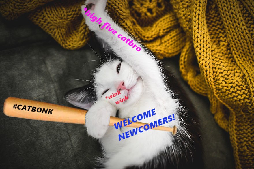 bnu tweet media
