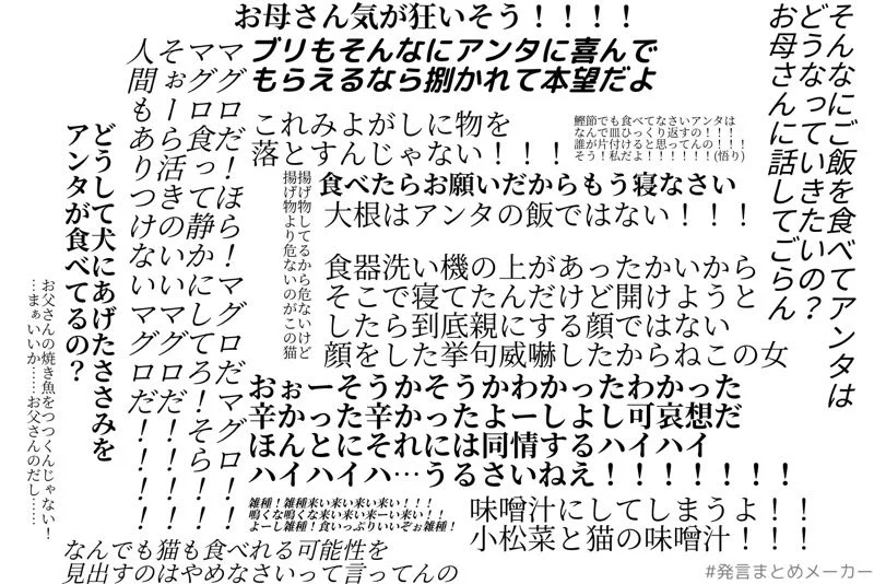 おもろすぎ。母と故猫ばあさんの仁義なき戦い