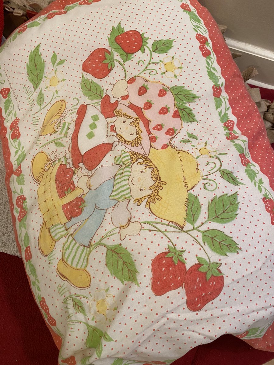raawhit's tweet photo. @RadioDana @KMBZradio I had Strawberry Shortcake. Loved it, but it’s now used on our dog’s bed. https://t.co/jzoDrIrF3y