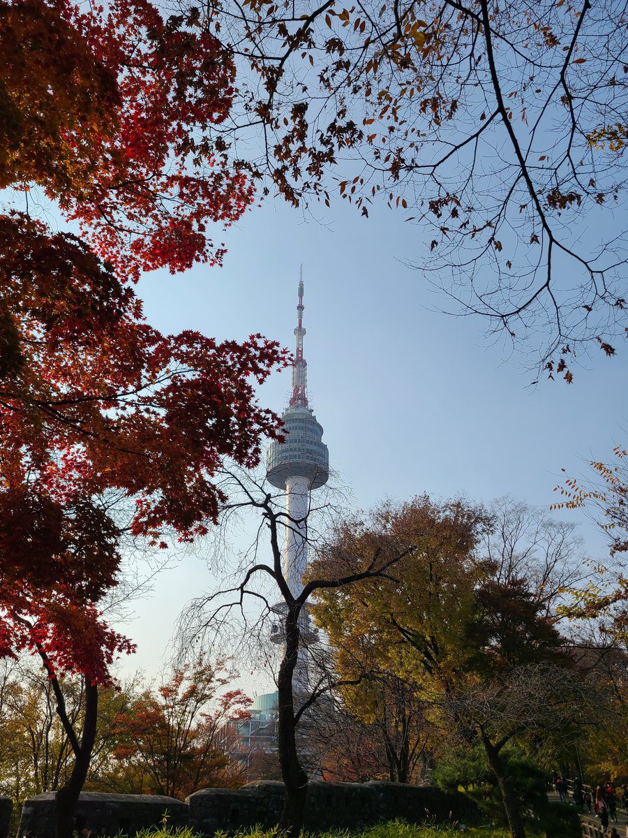 워킹대디 tweet media