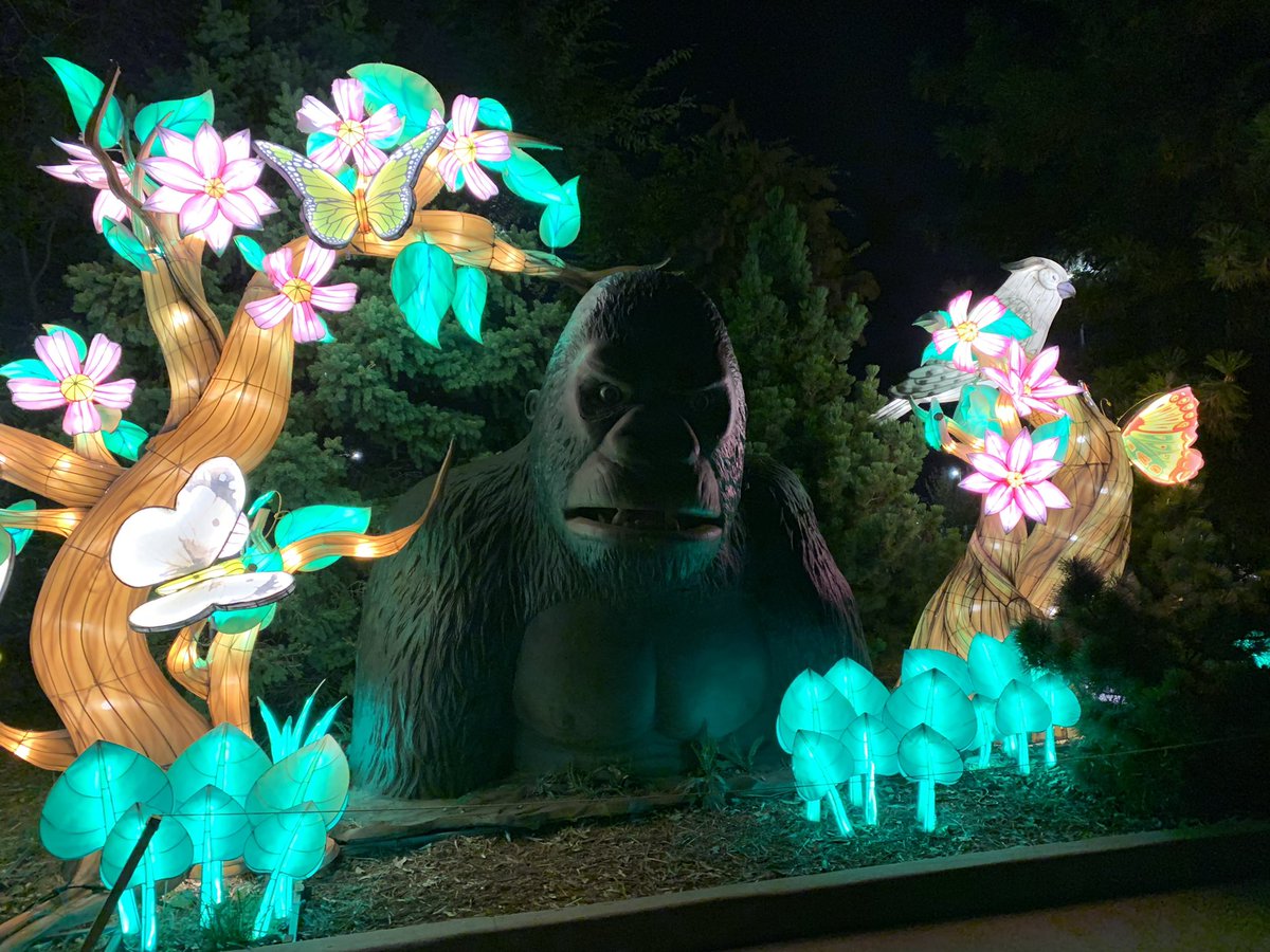 Took a trip last night to the <a href="/okczoo/">Oklahoma City Zoo and Botanical Garden</a> #SafariLights and had a blast! #okczoo #OKC