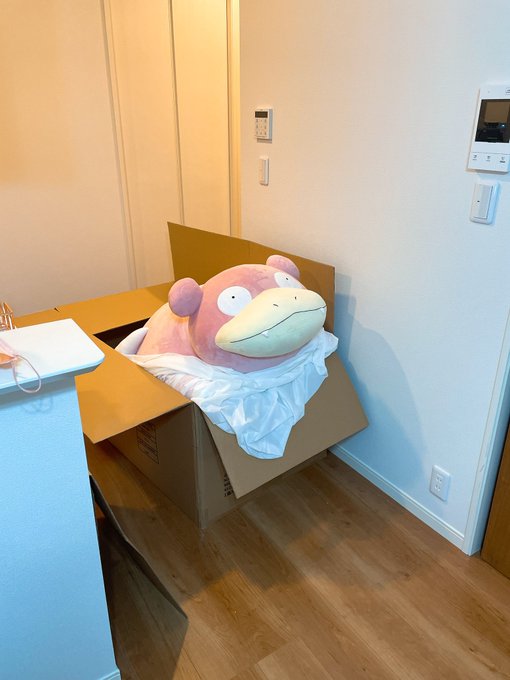 等身大ヤドンが届いた人のツイートまとめ 洗濯機より大きい 大型冷蔵庫と同じサイズでした まとめダネ
