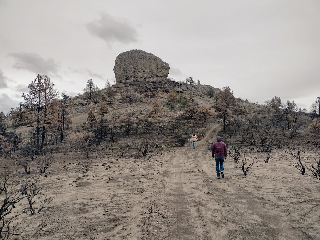 Nearby, there is a sacred mountain people go to for prayer. It burned to a crisp in the #BootlegFire. While it will recover, it's a reminder that the land needs people. The right people. The right fire. It needs #CulturalBurning. 4/6