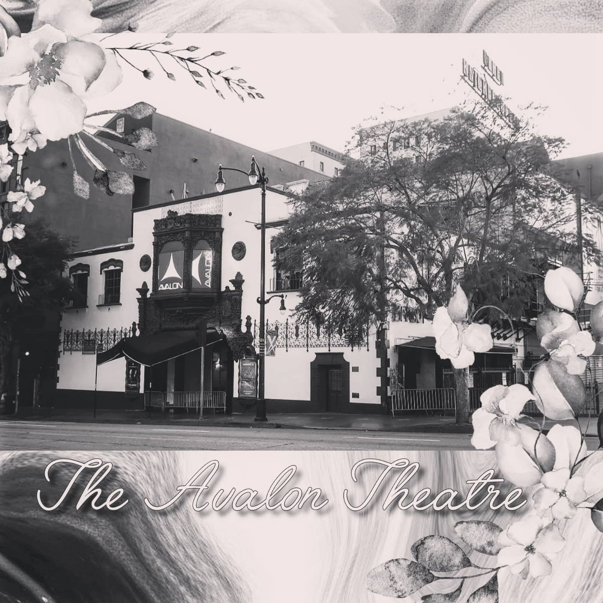 enightmarespod's tweet photo. Episode 42: Haunted Hollywood is out now! This week Dan Sly and Tree Arvor talk about the hauntings that happen in the original building for the Hollywood Reporter and The Avalon Theatre. Take a listen wherever you get your favorite podcasts 🤍
#truecrime #podcast #hollywoodglam https://t.co/4mUorxAJdN