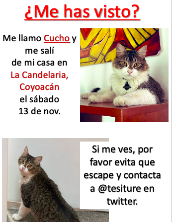 tesiture's tweet photo. SOS, banda que vive en la frontera entre La Candelaria y El Rosario, en Coyoacán. 

¿Nos echan la mano con un RT? 🙏🏼 https://t.co/xezjeSQyOV