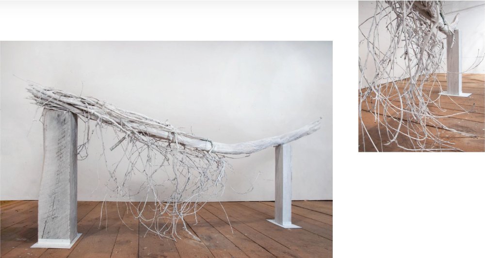 NancyAzara's tweet image. "Embodied Forest" exhibit/book &amp;amp; "Looking Forward" opening Thurs. Nov. 18th - mailchi.mp/d62606991e72/e…