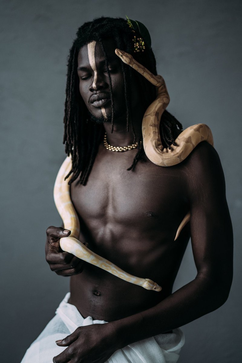 ✨Regina Wamba✨ tweet media