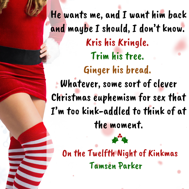 Idk why Amazon put On the Twelfth Night of Kinkmas paperback on sale, but they did! 

You can snag your copy of this spanky, sweet, punny, ex-boyfriend's dad holiday romance for cheap right now: amzn.to/3wQG47C