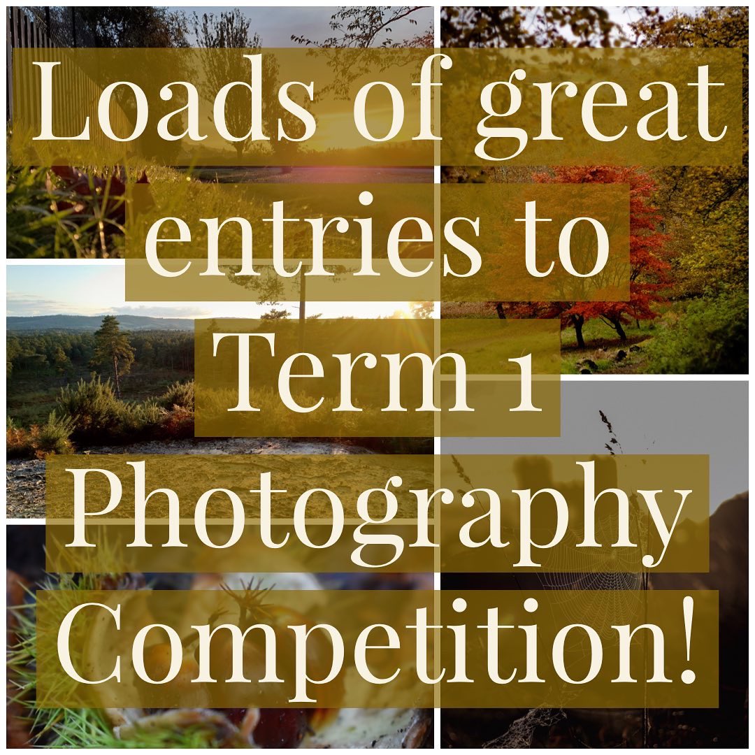 MRCPhotographic's tweet photo. #photography @adobespark #photographycompetition #autumn #adobespark #sparkpost #midhurstrothercollege https://t.co/JCCeuYKwCW