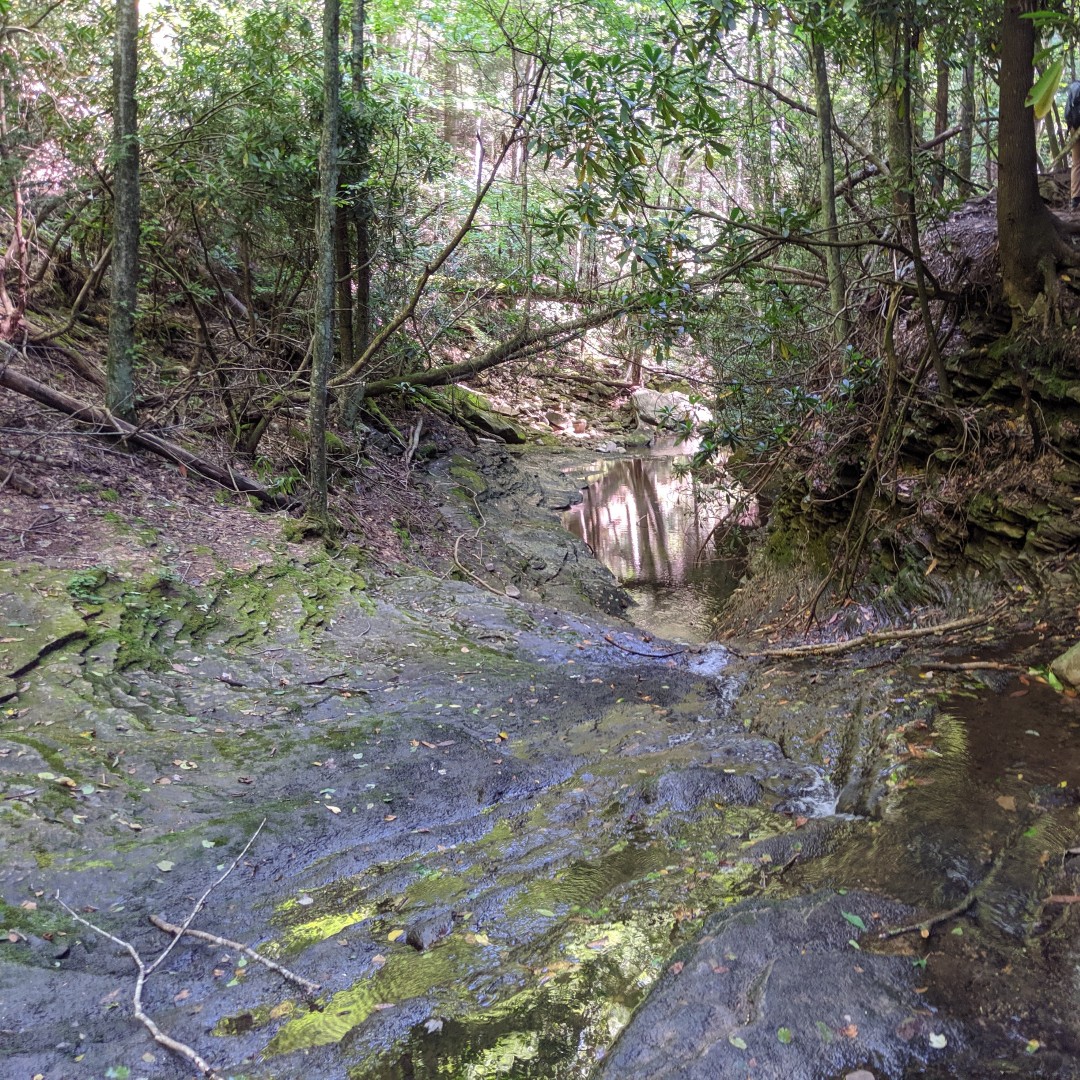 Virginia_Energy's tweet photo. Our #AMLProjectoftheWeek is the Devil's Bathtub in Scott County. An #AbandonedMineLand Pilot grant of $283,000 will help to improve parking, close historic mine openings and improve the trail for tourists. #ourworksnotdone @OSMRE @ScottCoTourism https://t.co/M0SDMPpwqq