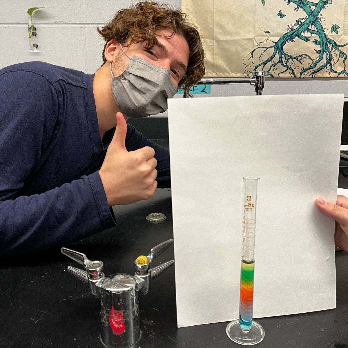 torchianator's tweet image. We made density towers in AP Bio with our leftover molar sucrose solutions from the water potential in plant cell LAB! Nice job! 🌈🖤💜#APBio #goknights #knightscience