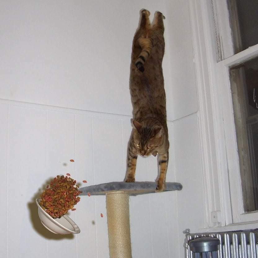 hmmm