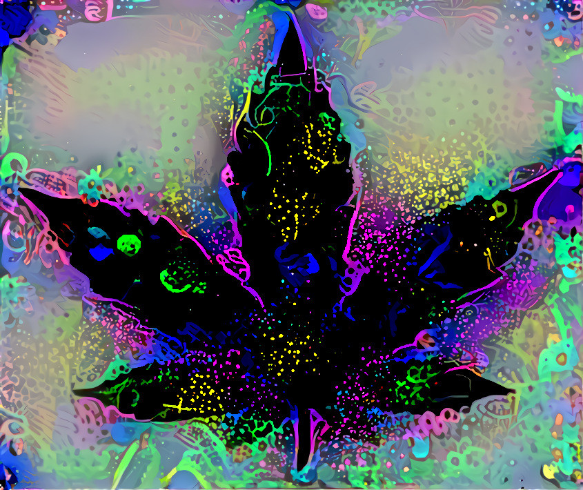 joel_aldrich's tweet photo. Buy an #NFT from Diesel Haze set for 25.0000 #TLOS https://t.co/8oyzKg4j6G  @AreaXNFT @Xtorage_cloud #WEED https://t.co/r7cJMMT6P1