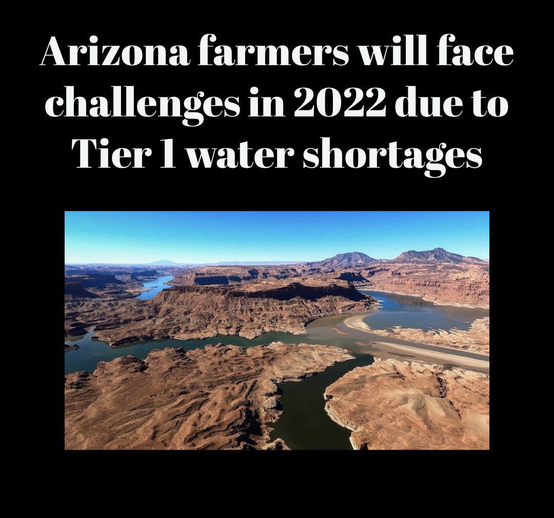TSRJournal's tweet photo. The Caywood family began farming in Pinal County in 1930 when Nancy Caywood’s grandfather purchased the land.
Five generations later, the future of Caywood Farms is uncertain due to water shortages. Read more here: 
https://t.co/XaXsEnW4ua https://t.co/nuCWRQeecZ