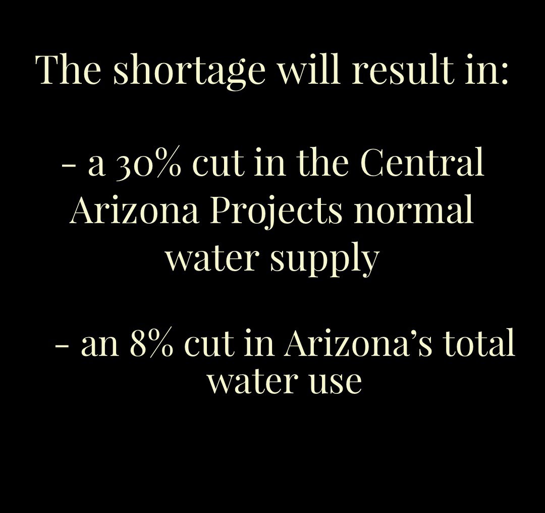 TSRJournal's tweet photo. The Caywood family began farming in Pinal County in 1930 when Nancy Caywood’s grandfather purchased the land.
Five generations later, the future of Caywood Farms is uncertain due to water shortages. Read more here: 
https://t.co/XaXsEnW4ua https://t.co/nuCWRQeecZ