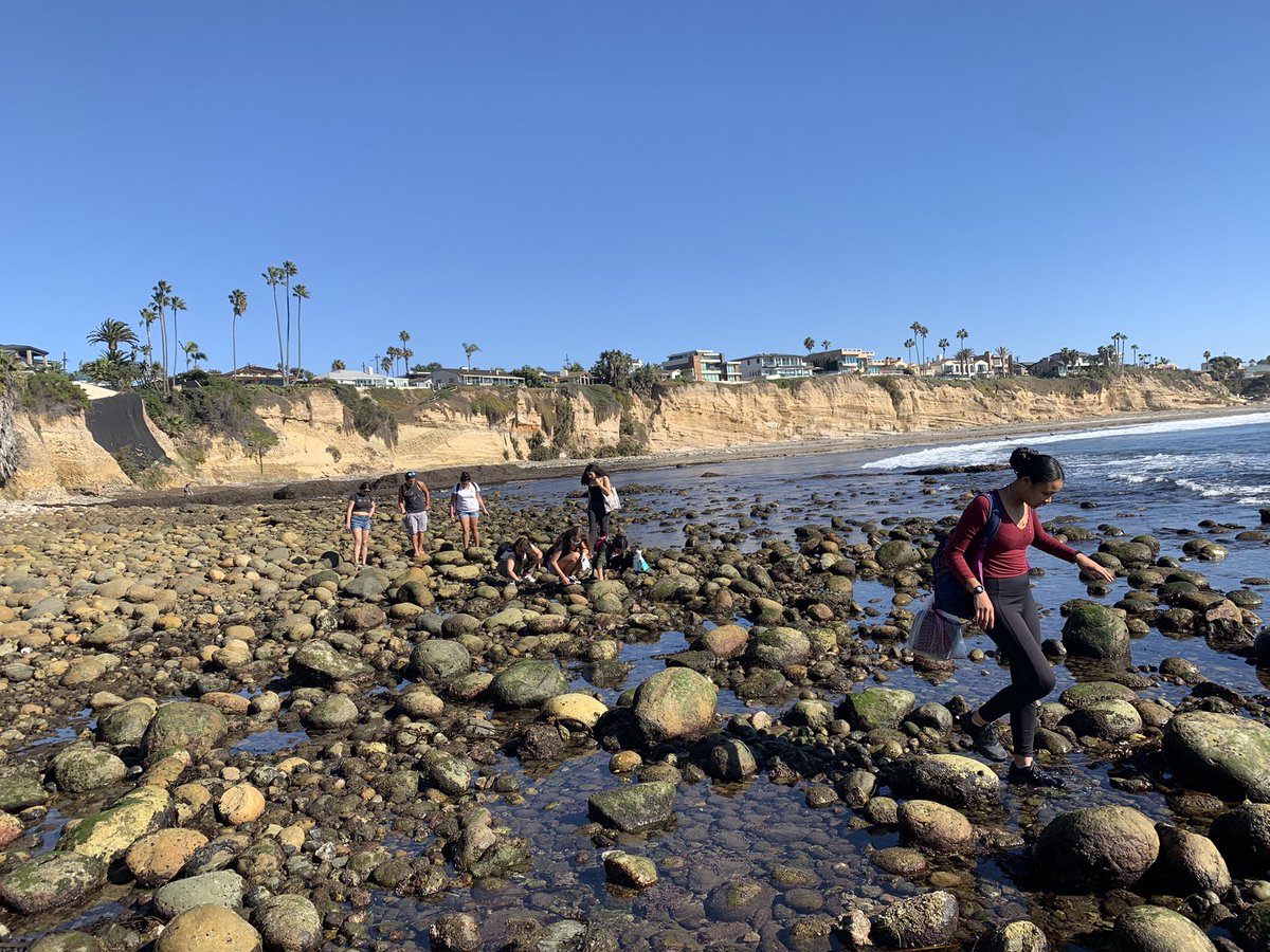 WillJacoway's tweet photo. Just had an awesome day teaching biodiversity and intertidal zonation. Thanks @helixcharter for making it happen and @inaturalist for the tools for the bio blitz. https://t.co/UDVowVrHms
