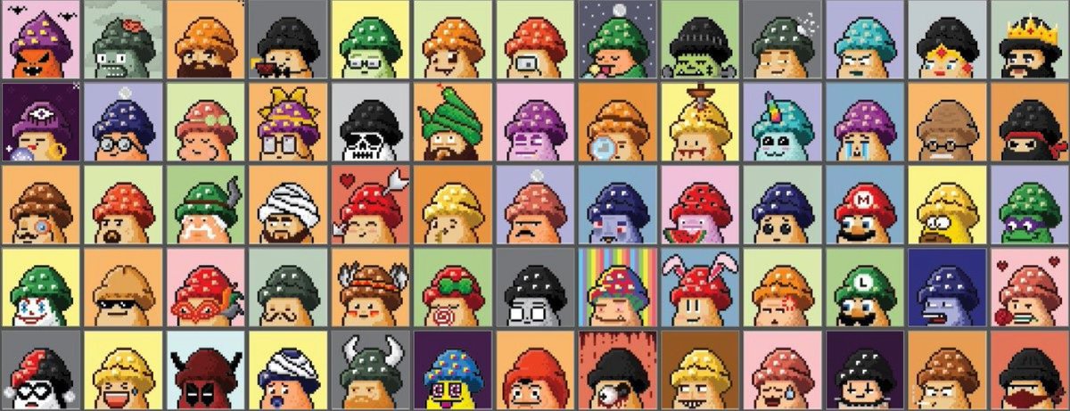 icyymaatt's tweet photo. The shroomolympics last until Thursday! You still have your chance to win one of them! Join @funky_shrooms https://t.co/vnQ4jVam9K