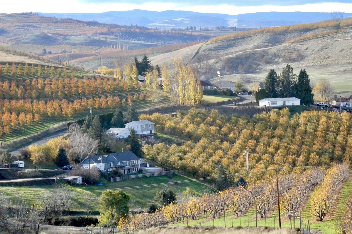 wordpuppet's tweet image. It was a beautiful day yesterday just north of #TheDalles in Oregon.  #NaturePhotography