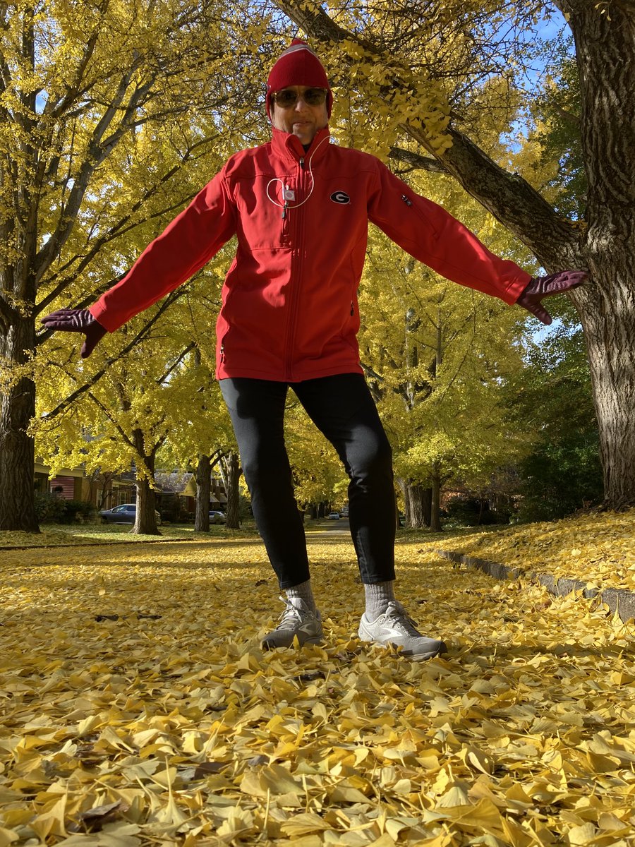 wrightforathens's tweet photo. What an awesome street in LEX KY lined with very old and very healthy Ginko trees. It is called Catalpa St. there is 1 catalpa tree.
The rest are these gorgeous Ginkos.
None of them have the stinky vomit pods…beautiful part of our walk this morning. https://t.co/Yw7UqLUOWq