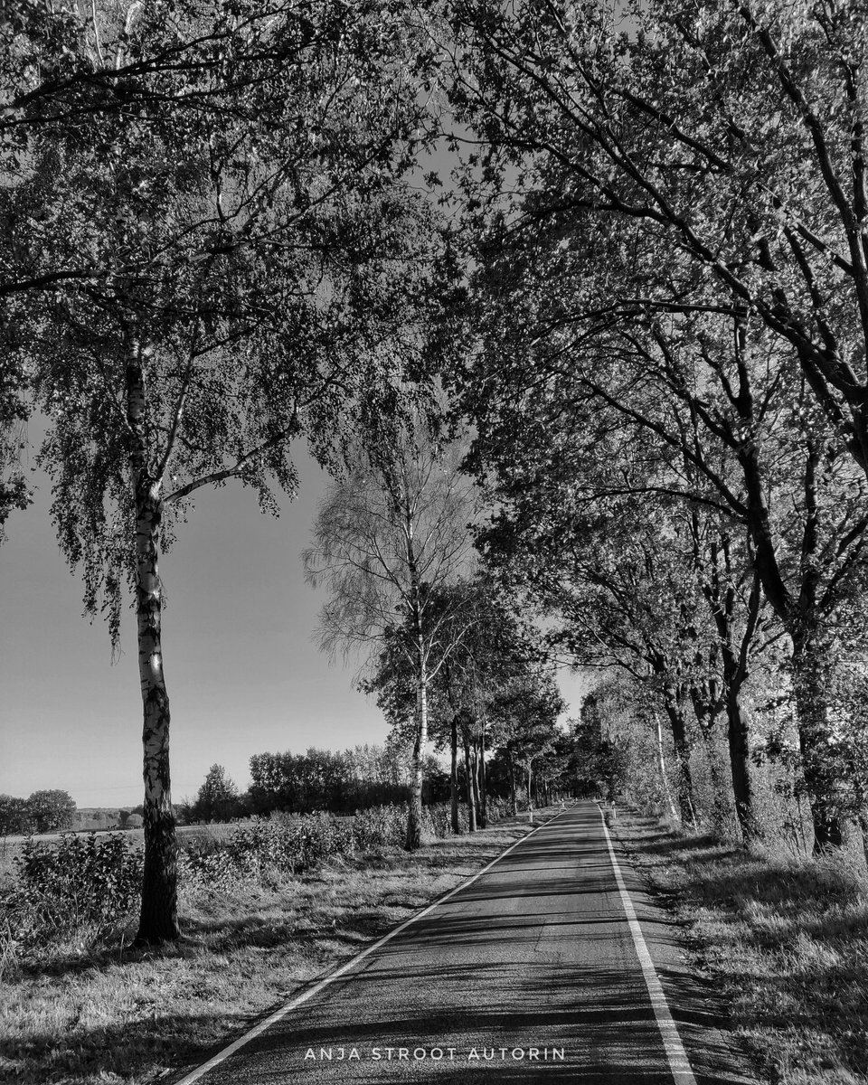 StrootAnja's tweet photo. Noch ein schwarz-weiß Bild von der letzten #Radtour bei bestem #herbstwetter
#hoerstel #ibbenbueren #uffeln #hopsten #recke #steinbeck #riesenbeck #kreissteinfurt #nrw #münsterland #meinmünsterland #blackandwhitephotography #landscape #outdooradventures #outdoorlovers https://t.co/SwNQq0klgx