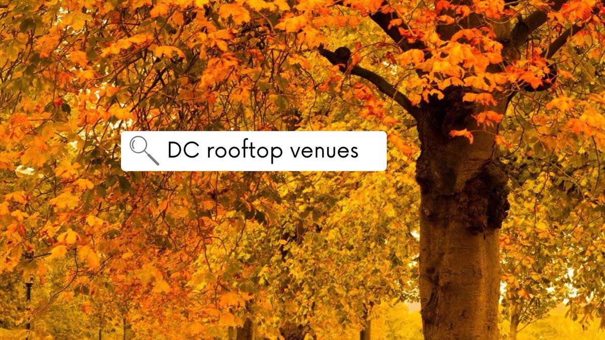 Our centrally and conveniently located rooftop venue has view to wow your guest. Visit the link in our bio for more information. 🍂