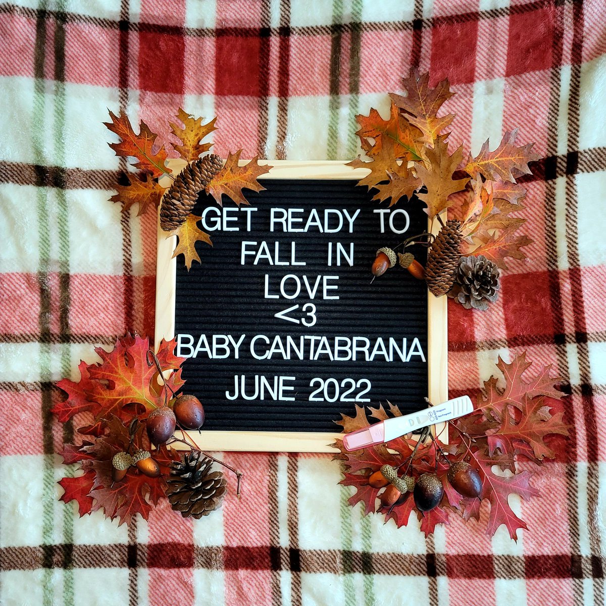 alexisnottexas's tweet photo. so we have a little announcement! 2021 was a great year to us and 2022 will be even better! welcoming the next cantabrana into this world and we couldn't be happier! https://t.co/mF4Jl7zt2Z