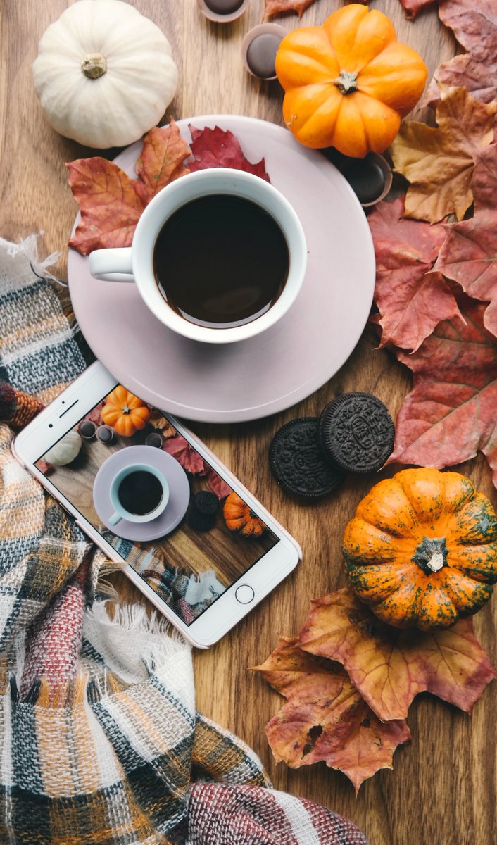 What's not to love about giving season? 🍁🍂

Are you ready of end of year giving 👍 or still working on your content plans? 😬

#NonprofitMarketing #DigitalMarketing #Nonprofits