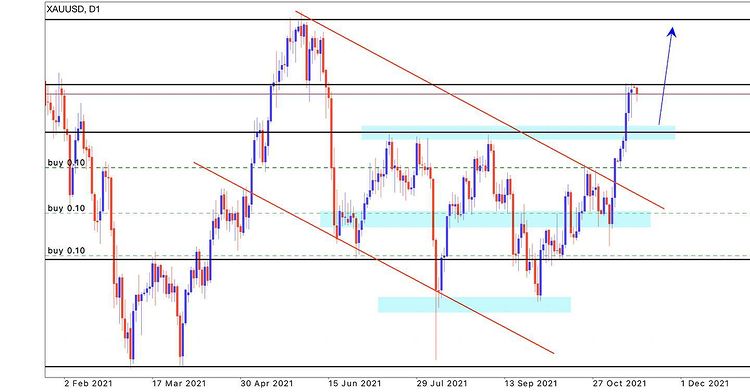 Forex goat tweet media