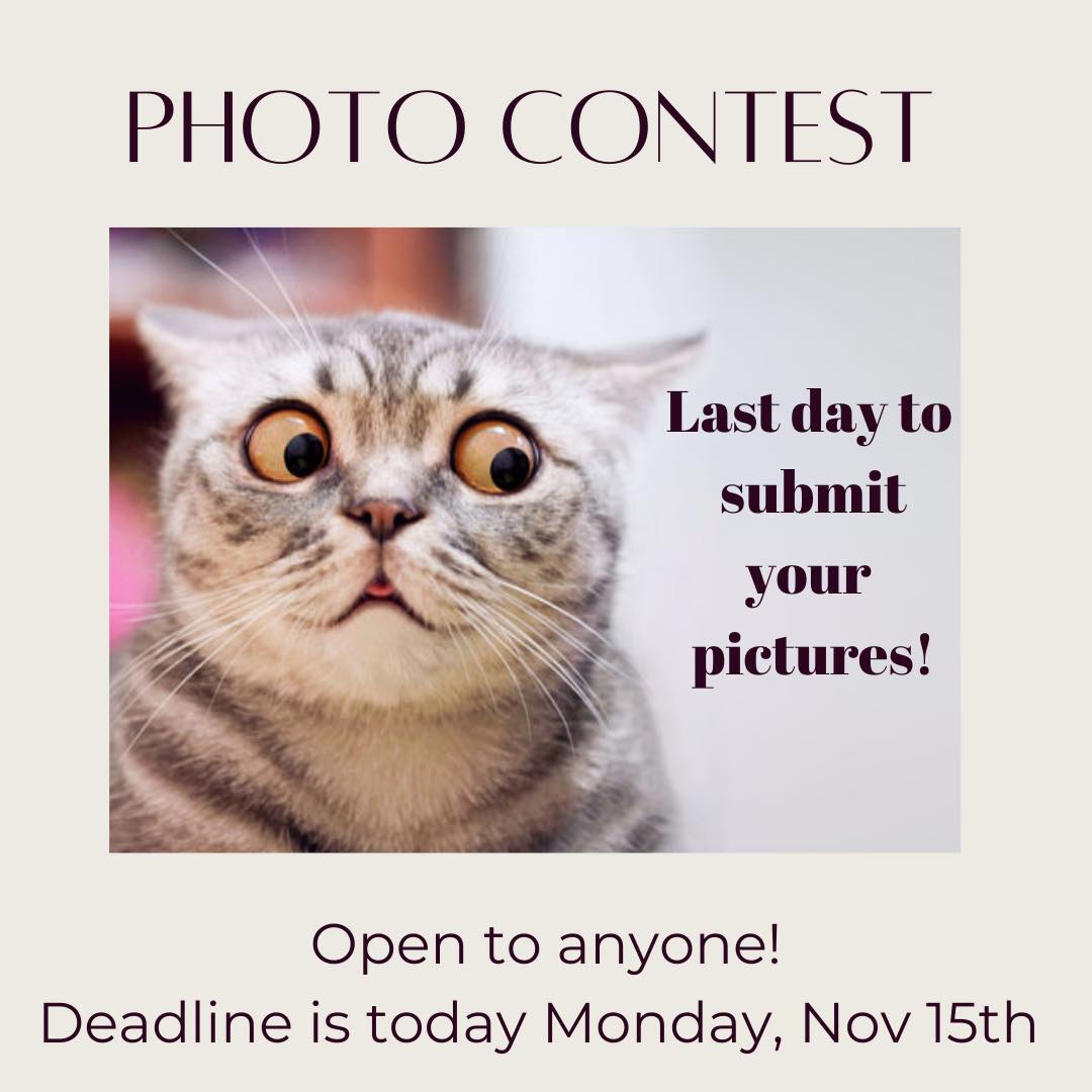 💣 ATTENTION 💣 Last day to submit your pictures! Any questions don’t hesitate to reach out to Miriam Jimenez!

📸 Photo contest 📸
Cash 💵 prizes!!
Everyone is invited to participate!

Submit here 👇🏼👇🏼
planoffa.org/.../photograph…